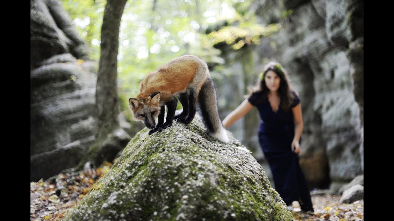 Bring Lana the Fox Home (TapDancers & Quand Tu Dors - Christine Leakey)