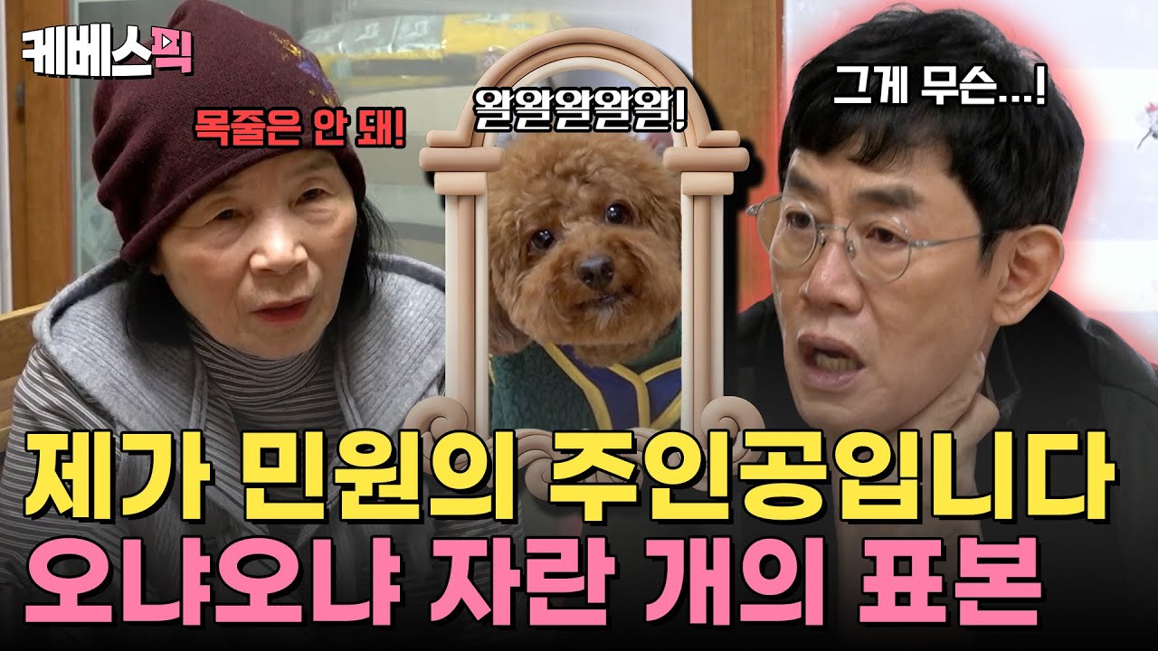 특기가 '산책하면서 사람들한테 입질하기'인 💥 온실 속 화초 같은 강아지 | [개는 훌륭하다] | KBS 260118 방송
