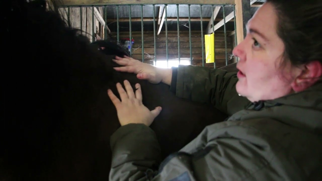 General Fascial Diaphragm Release