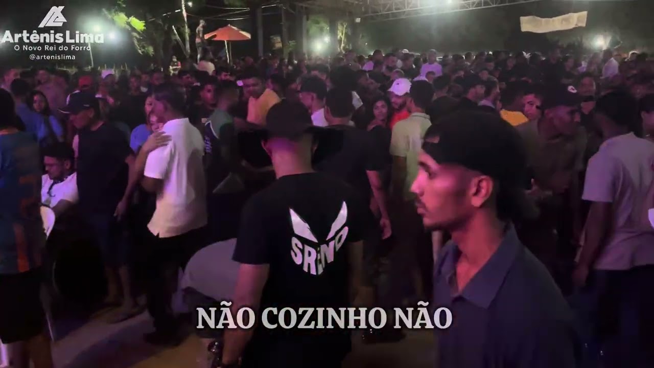 NÃO COZINHO NÃO - ARTÊNIS LIMA 