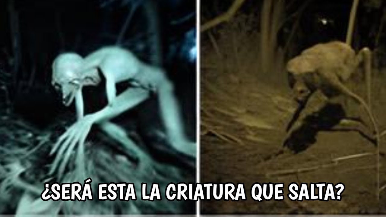 The Jumping Alien Creature and Other UFOs Caught on Camera