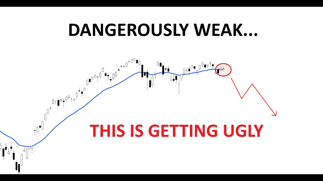 Technical Analysis of Stocks: SPY / QQQ / NVDA / TSLA / AMD / PLTR / AVGO / SNDK