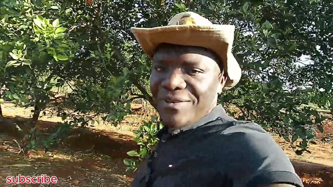 Farm Visit PART II // Orange Farm  // Sweetest fruits Comes From Makueni