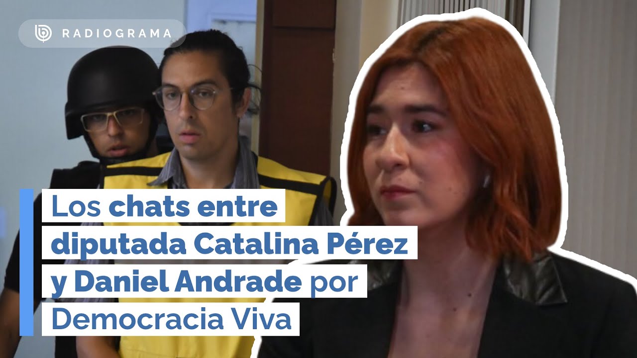 Revelan chats entre diputada Catalina Pérez y Daniel Andrade por Democracia Viva (RD)
