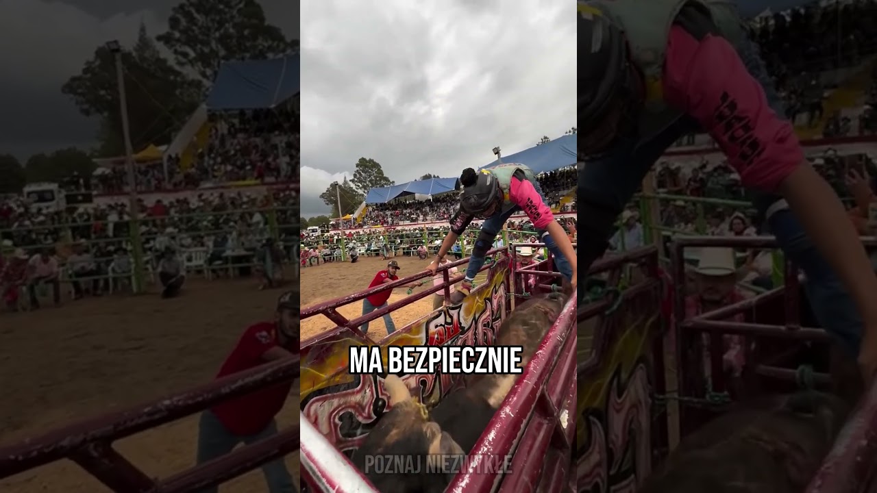 Dlaczego Rodea są tak Niebezpieczne! 🤠