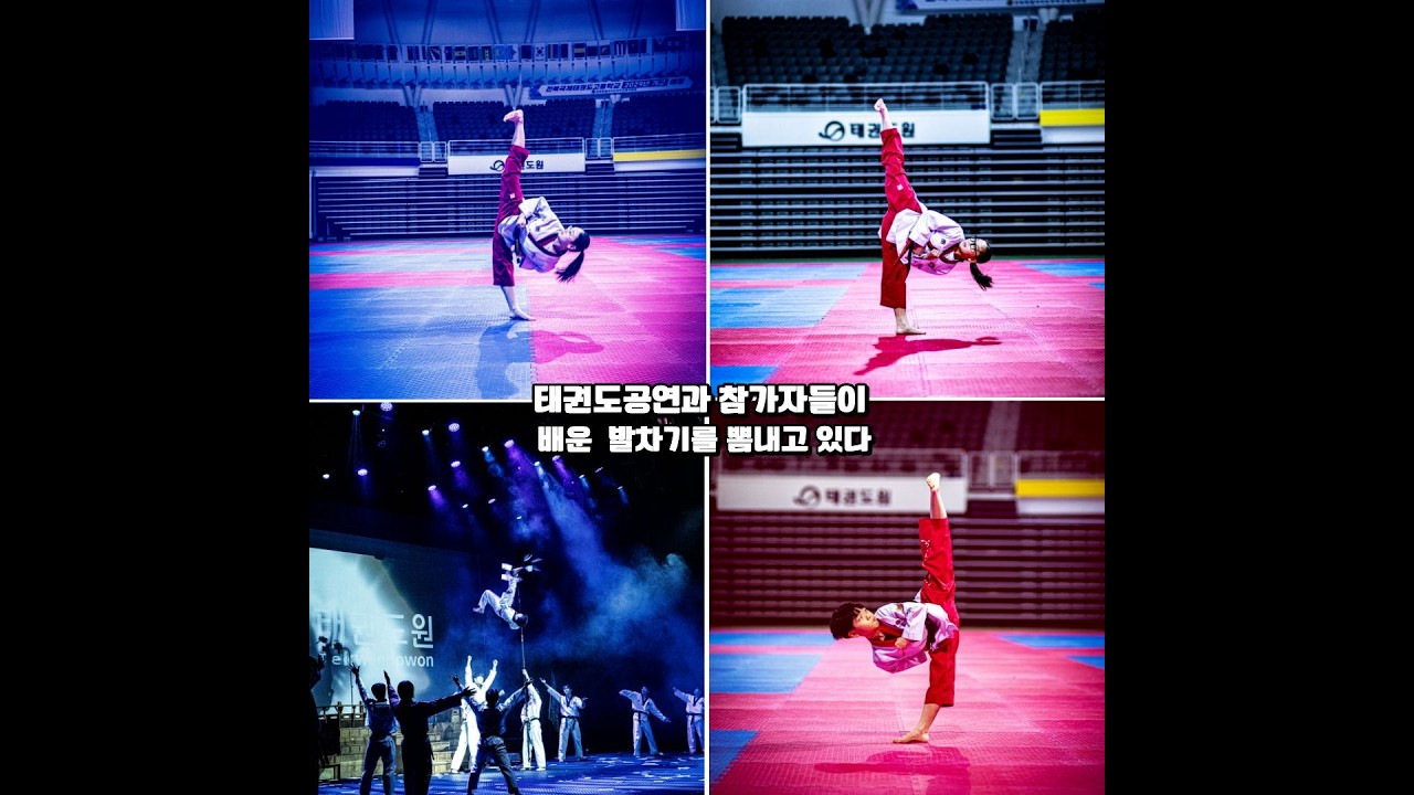 태권스타와 함께 하는 태권도원캠프 #태권도진흥재단 #국기원 #태한태권도협회 #세계태권도연맹 #행신동국가대표대망태권도