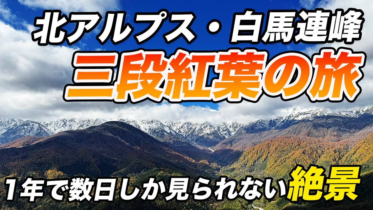 【絶景】三段紅葉！1年で数日しか見られない景色を見に白馬へ！