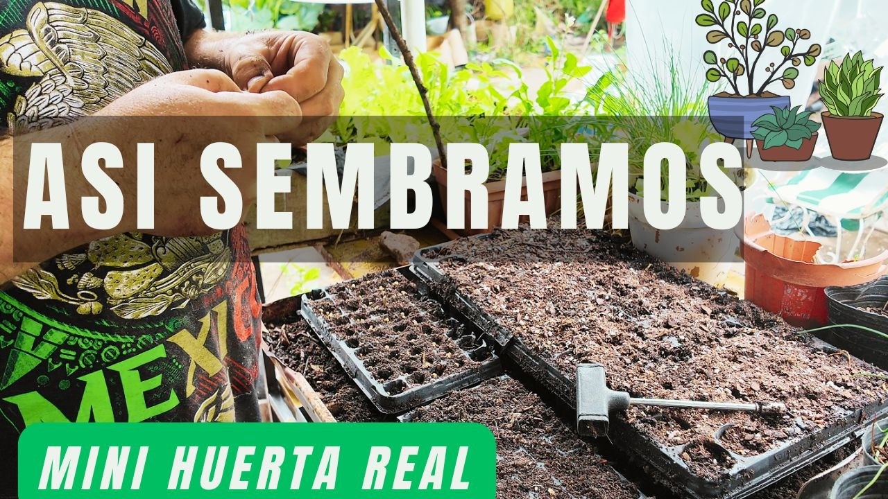 Sembrar en poco espacio 🌱 | Así lo hacemos en casa (Mini huerta real)