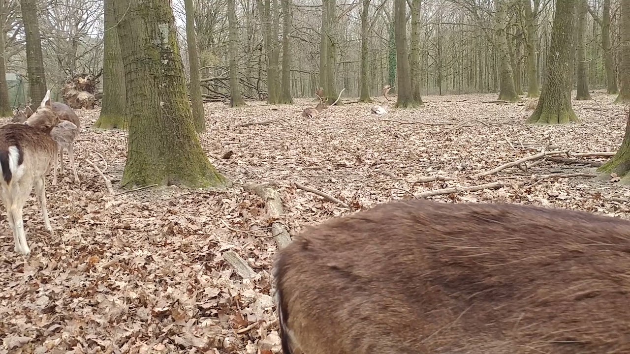 erstmal gucken