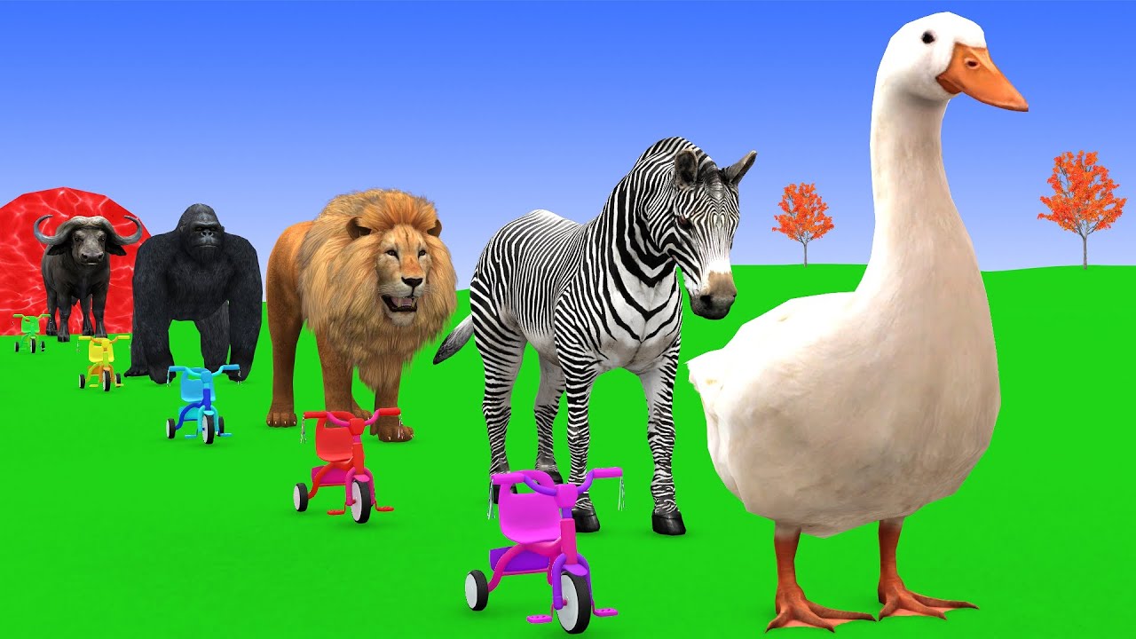 Long Slide Game with Cow Elephant Gorilla Hippopotamus Tiger 3d Animal Game Funny 3d Animals