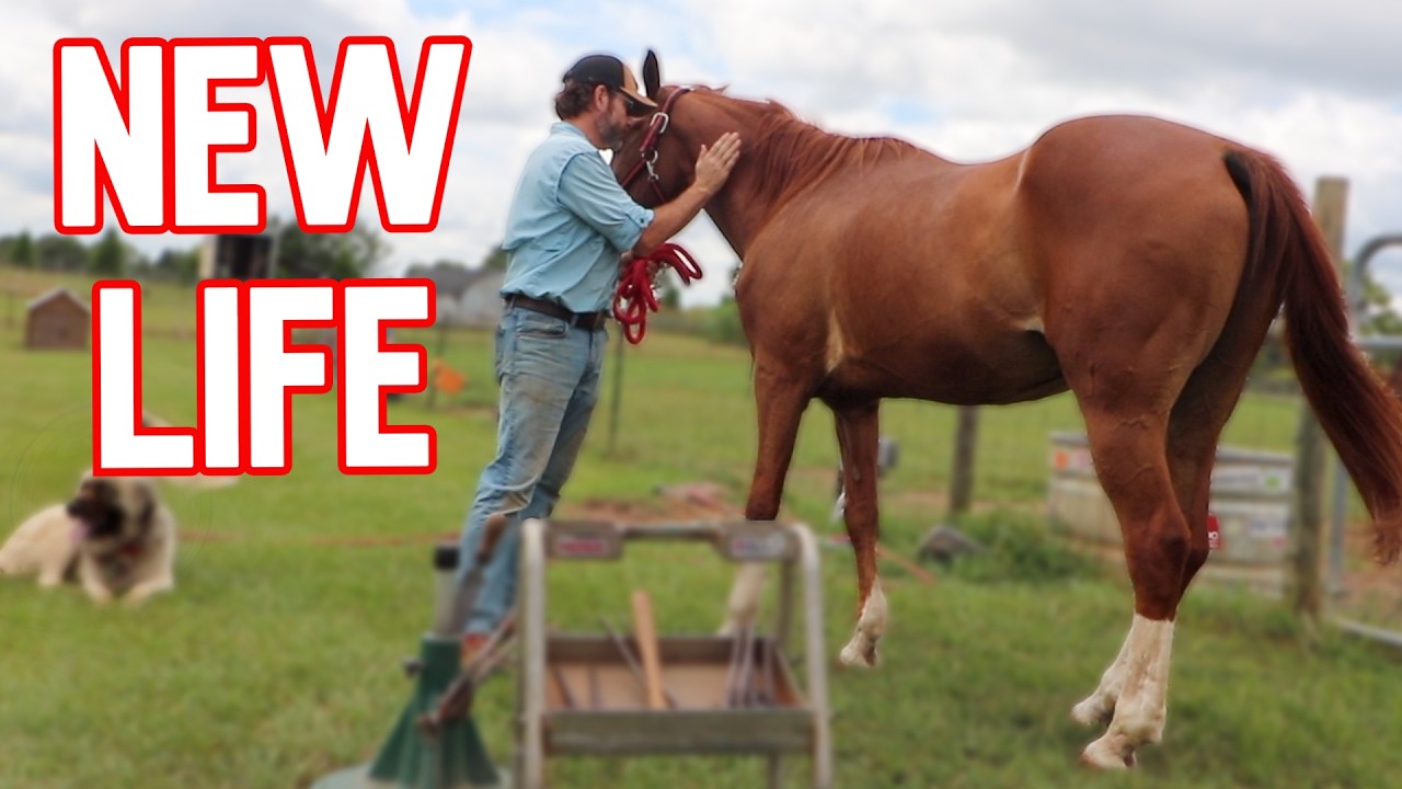 This Tiny Thing Could Change His Life Forever!