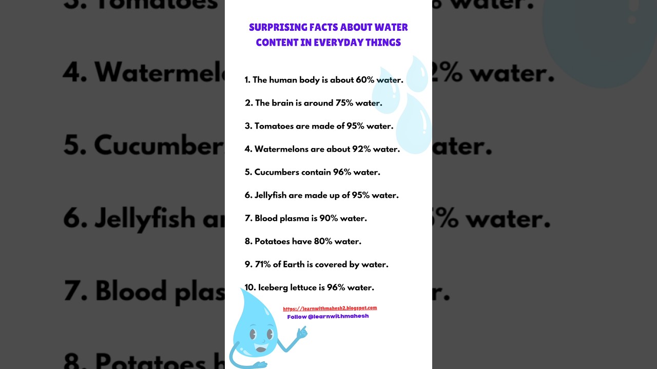 Surprising Facts About Water Content in Everyday Things #h2o