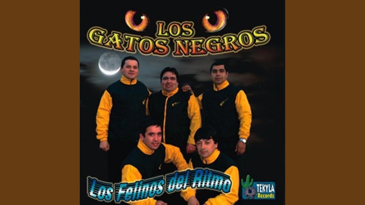 Mi gran amor (Los Felinos del Ritmo 2007)