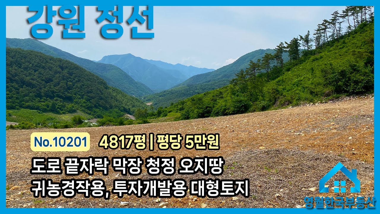 [정선토지] 도로 끝 막장 대형 토지, 독립적인 공간 평당 5만원 미만 활용도 높은 투자용 정선땅매매, 농사용 경작지, 기도원 절터, 태양광발전 개발용 강력 추천 #한국부동산