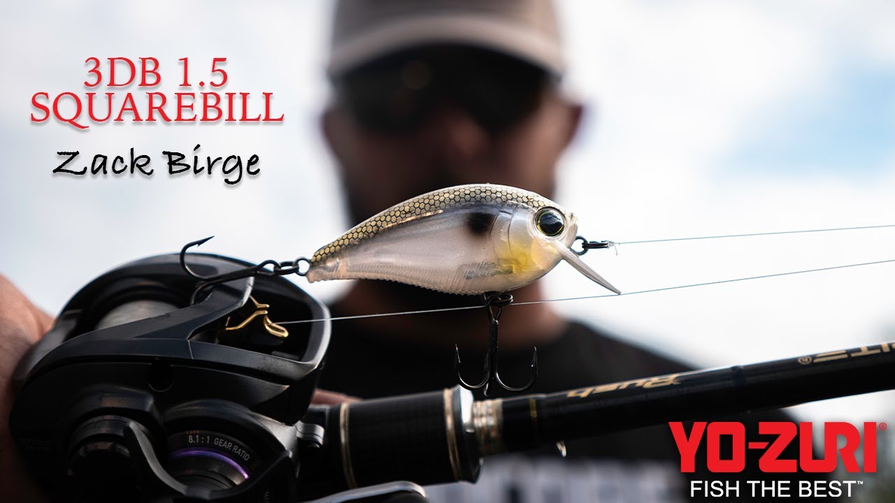 Shallow Water Crankbaits | Yo-Zuri 3DB 1.5 Squarebill with Zack Birge | Sam Rayburn Reservoir
