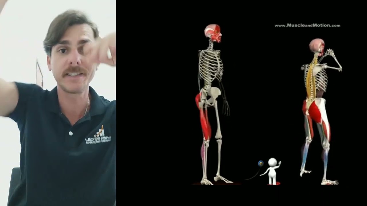 (CINESIOLOGIA E BIOMECÂNICA) CARACTERÍSTICAS DO AGACHAMENTO