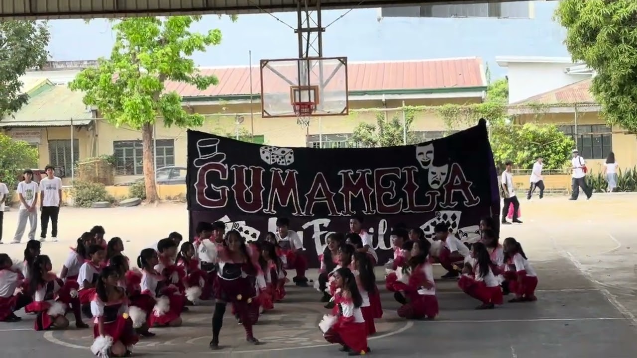 CIRCUS GUMA ❤️ LAFAMILIA 8.0
