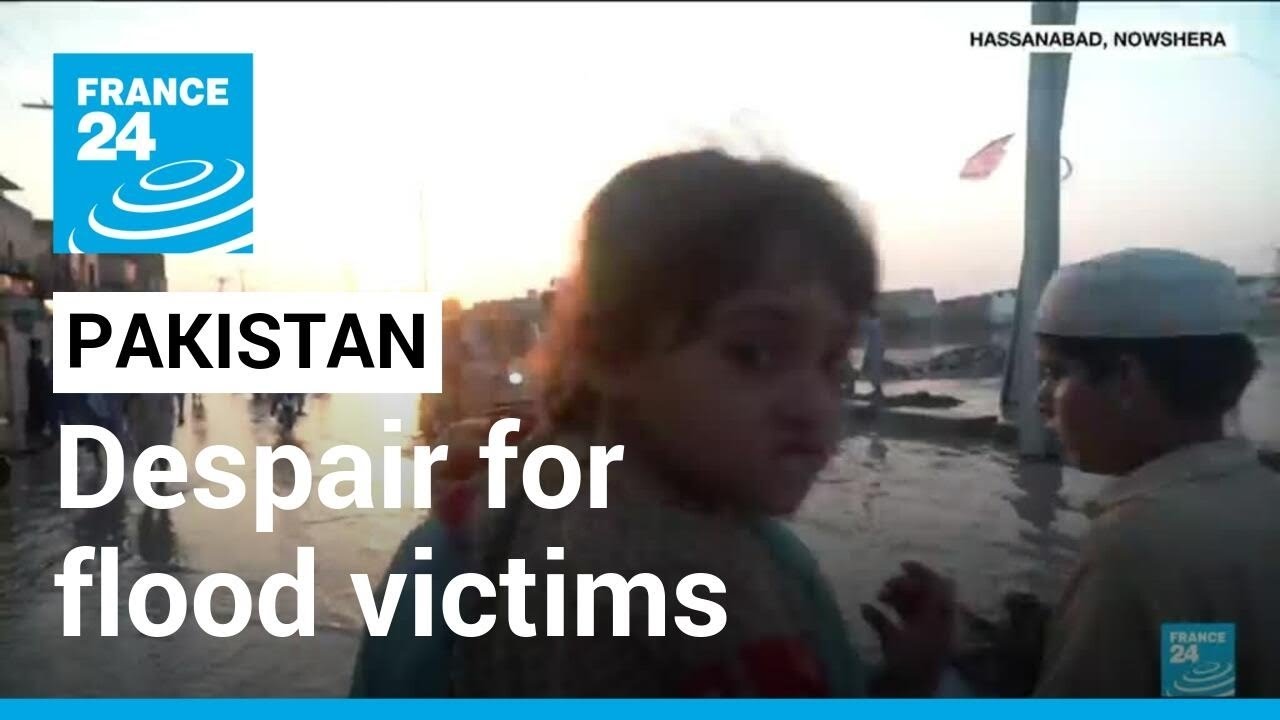 FRANCE 24 report: Despair for Pakistan's flood victims as aid gather pace &bull; FRANCE 24 English