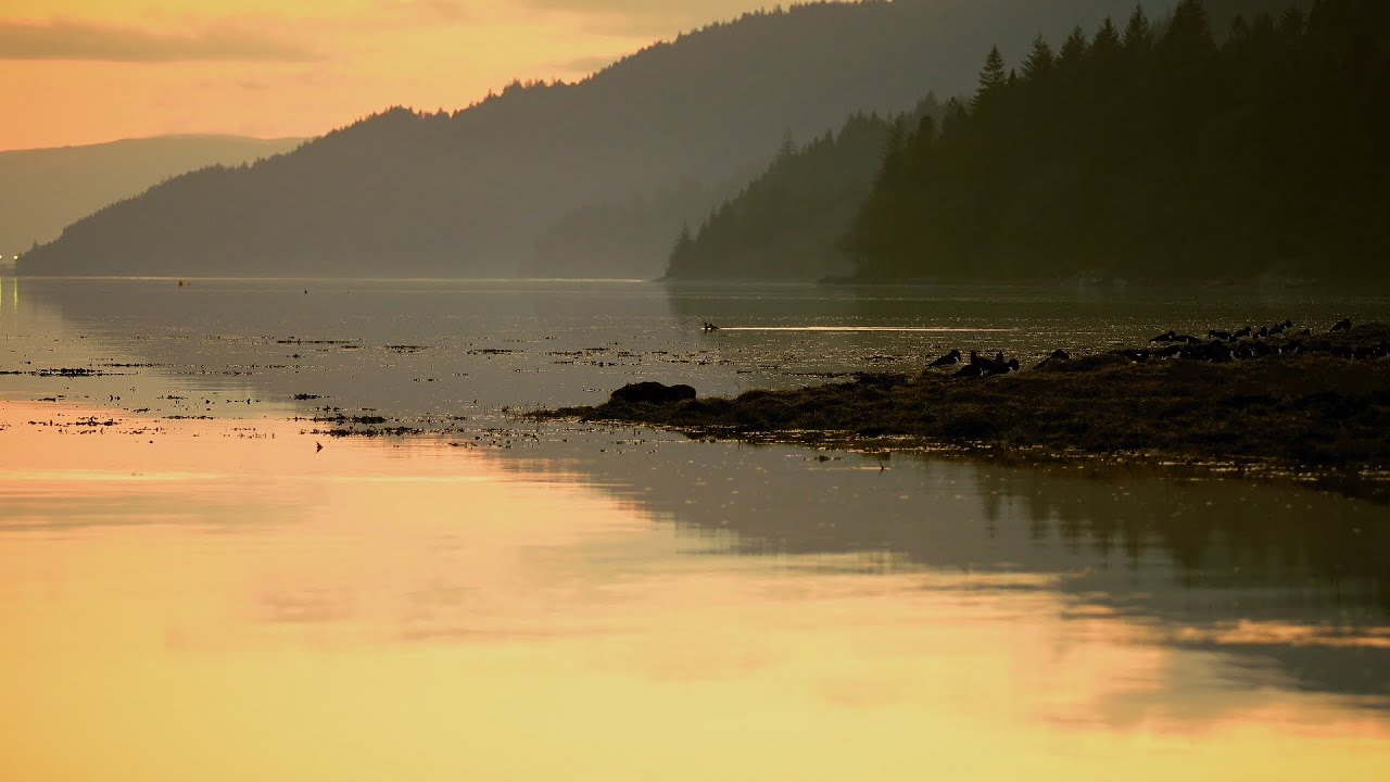 On the Northern Shores of Loch Long, Argyll