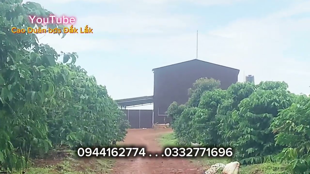 6ha cà phê chỉ 3 tỷ, sẵn nhà rẫy, giếng khoan, hồ nước…, ôm đường đất 400m, lh: 0944162774
