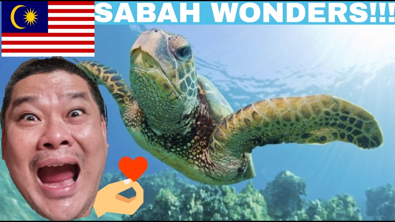 FIRST IMPRESSION of TURTLE Island of Sandakan Sabah Malaysia, Ric Travel Vlog