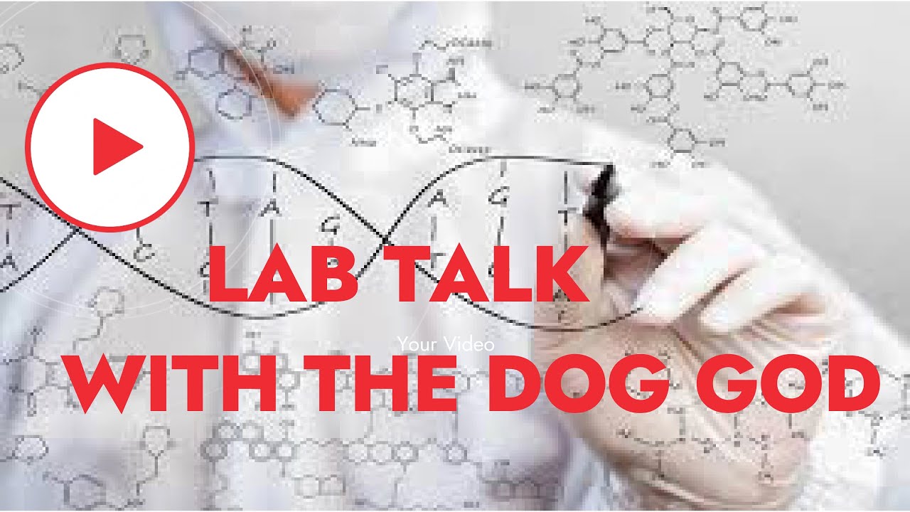 WHAT IS HYBRID VIGOR AND HOW DOSE IT AFFECT YOUR DOG BREEDINGS... LETS TALK ABOUT IT...