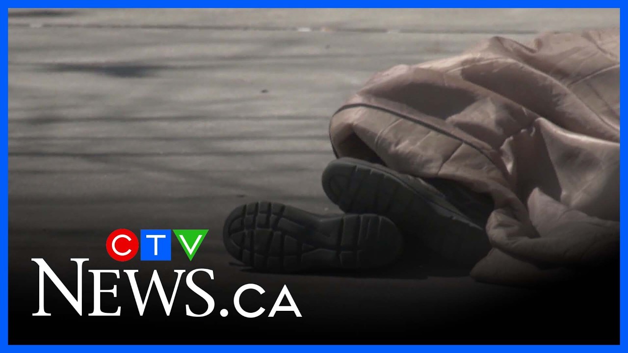 Early data shows Windsor’s HART Hub beginning to move clients into housing