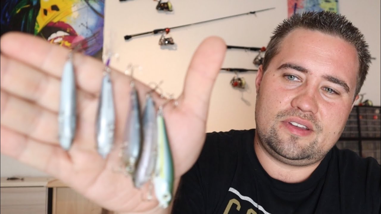 meine top 5 Stickbaits auf Barsch