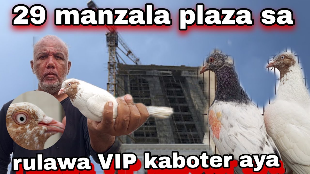 29 manzala plazas sa rulawa VIP kaboter Aya