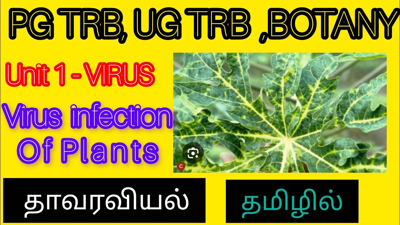PG TRB, UGTRB BOTANY ELIGIBILITY TEST # Unit 1,virus -  infection in plants/  INFINITIVE EDUCATION 