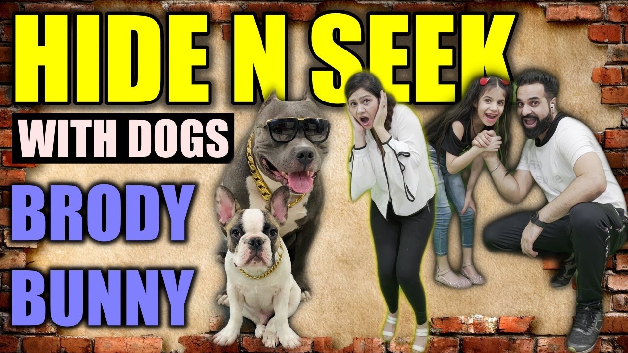 Once Again Hide n Seek with Dogs Brody Bunny | Family Funny Vlogs | Harpreet SDC