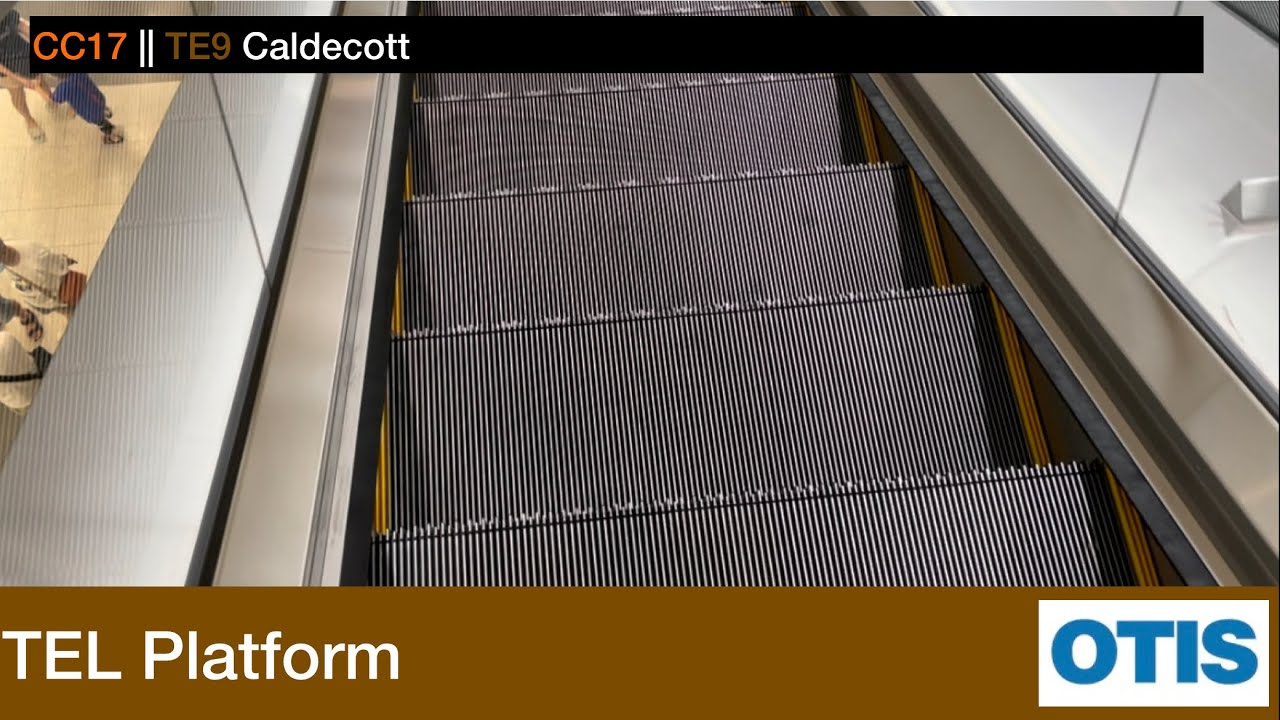Caldecott MRT Station || Otis Escalator (TEL Platform)