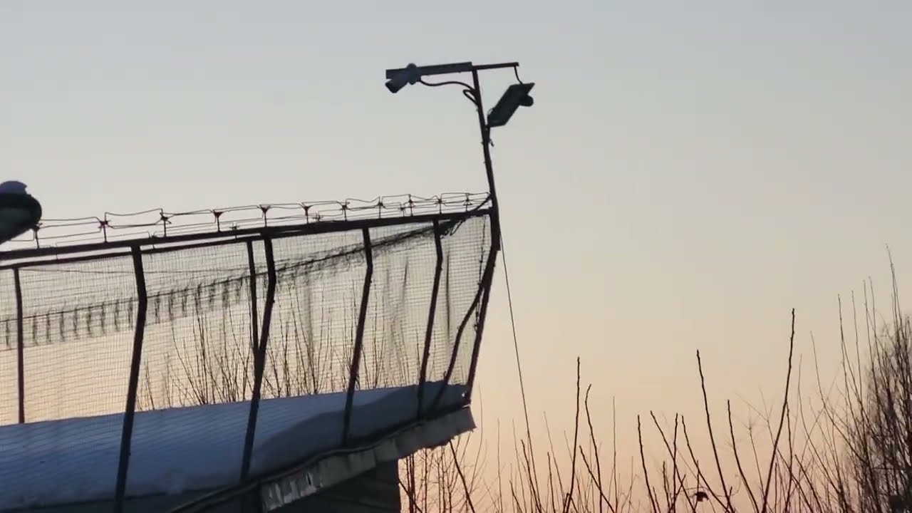 MRÓZ --8 🥶 ODEJŚCIE GOŁĘBI W MRÓZ O 16 🥳 SUPER CHODZĄ DZIŚ 💪👌💪ZAPRASZAM NA FILM 😉😊😉