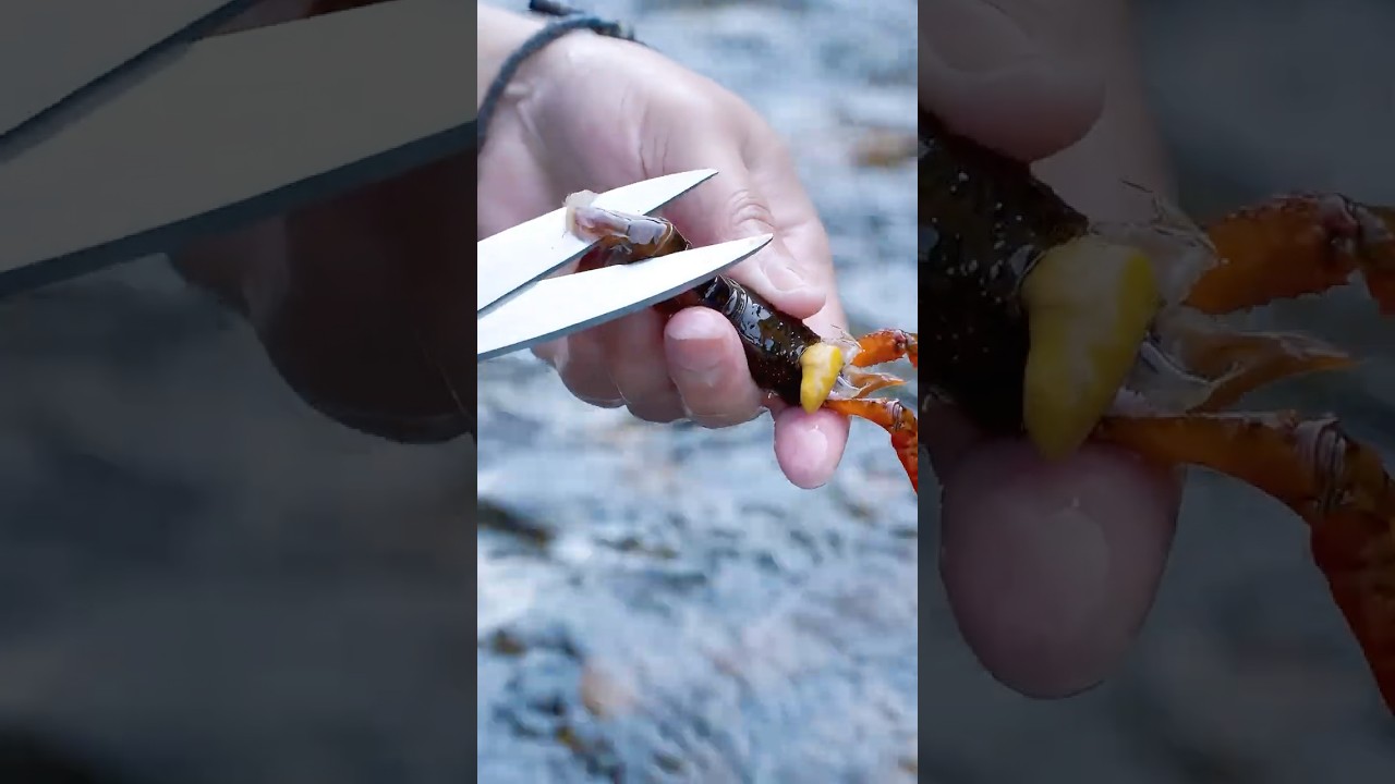 Durian + Crawfish?! My Wife&rsquo;s Favorite Combo Actually Worked!