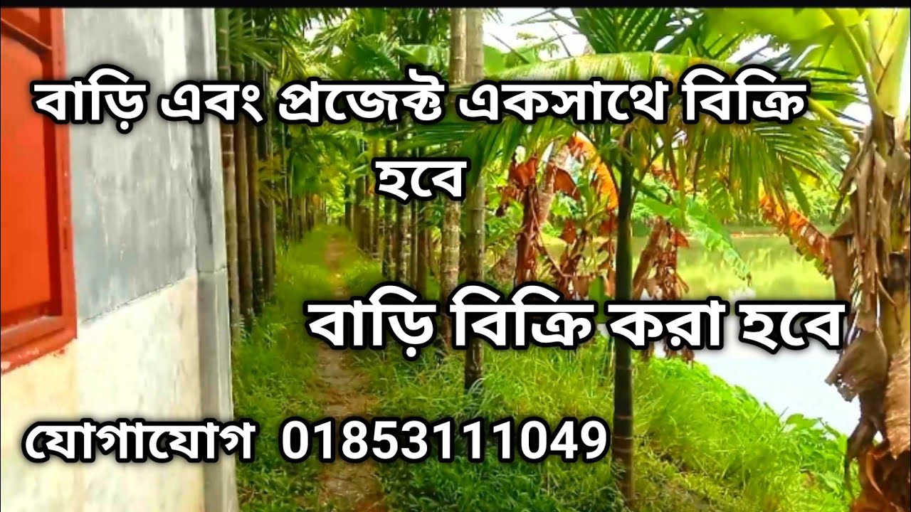 কম দামে বাড়ি বিক্রি করা হবে জমি বিক্রি করা Jomi bazar