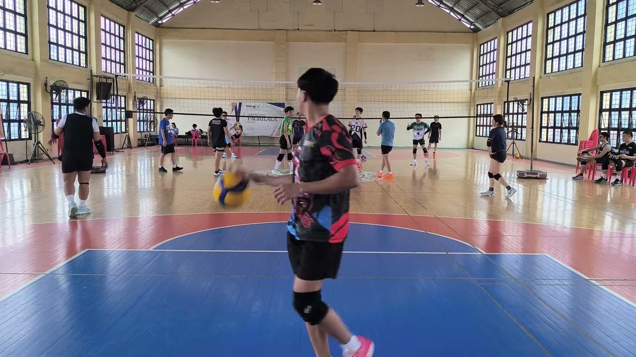 DELPHINUS VS SHUFFLE (1)