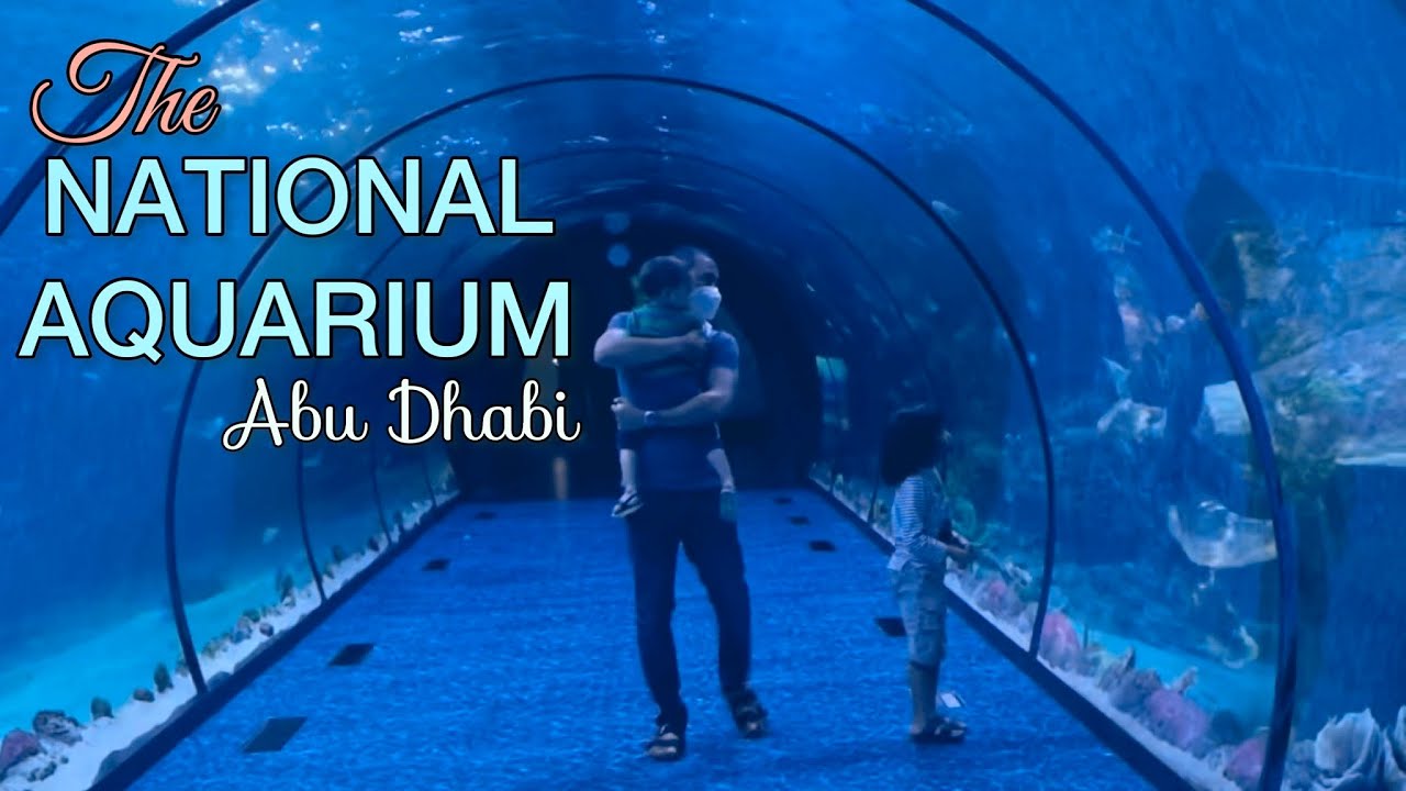 The National Aquarium, ABU DHABI | The Largest Aquarium in the Middle East