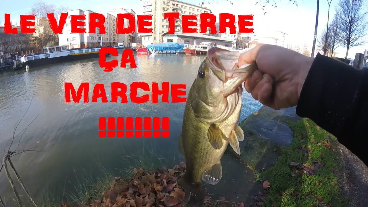 P&ecirc;che Urbaine Toulouse: Gros Bass et Grosse Perche au Ver de Terre!!!