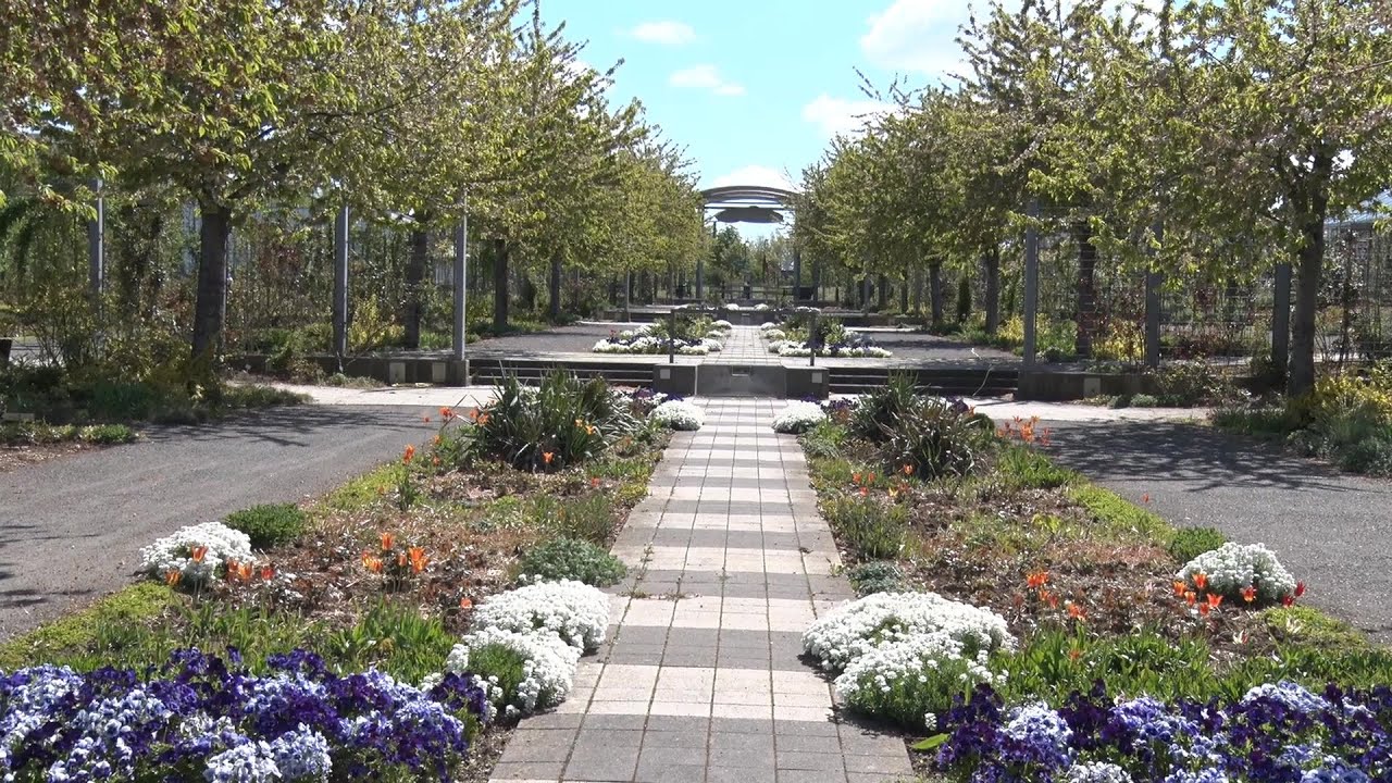 PUNKTum Das Rosarium Sangerhausen zu Coronazeiten