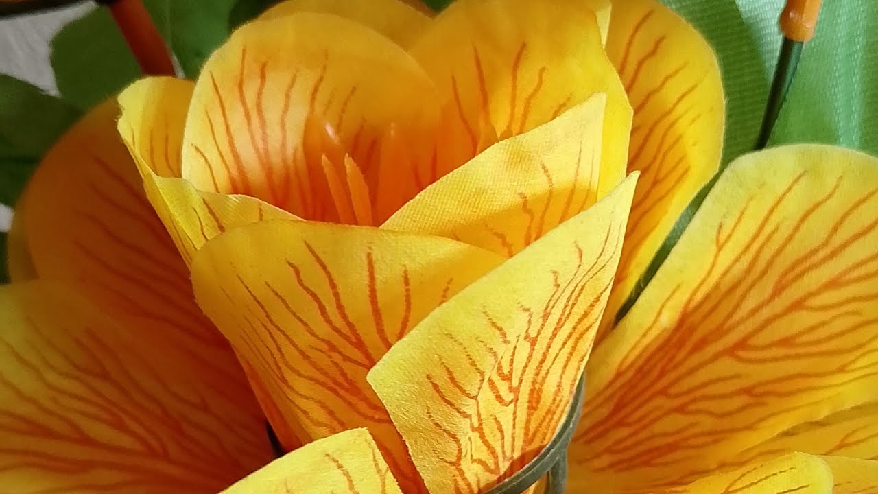 . আসসালামুয়ালাইকুম কেমন আছেন সবাই।
