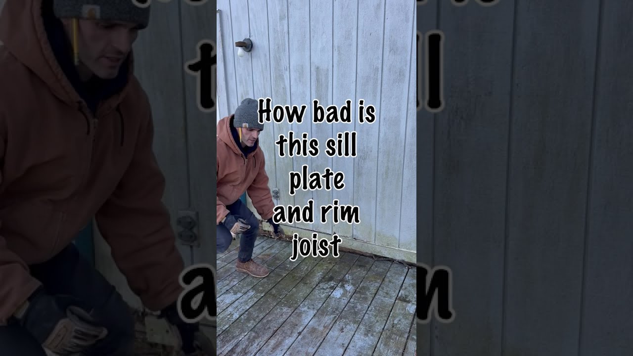 How Bad is this Sill Plate and Rim Joist?