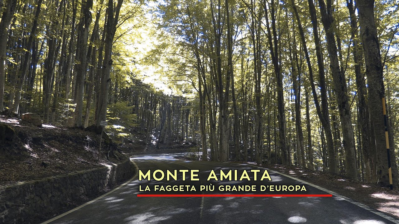 Monte Amiata - La faggeta più grande d'Italia e di tutta Europa