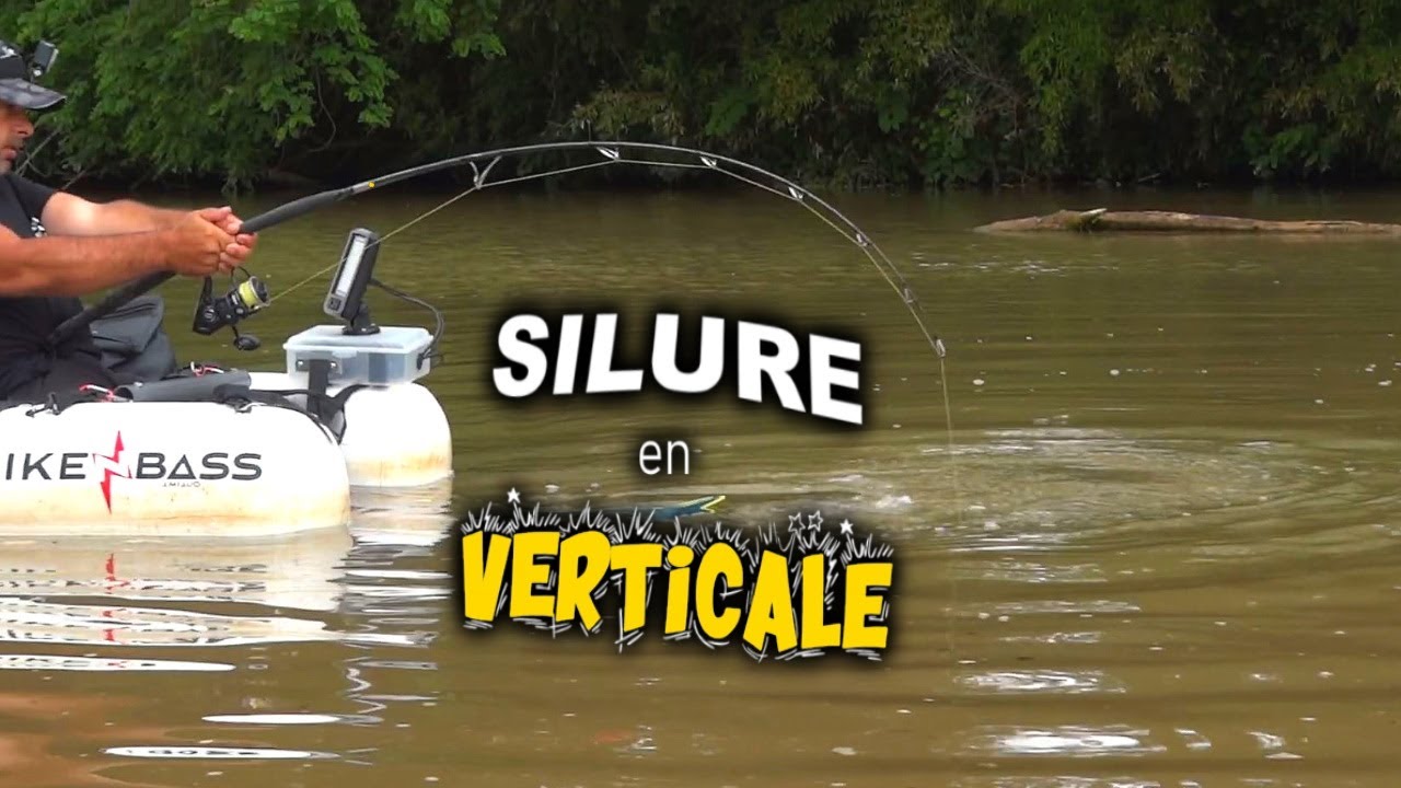 PECHER FACILEMENT LE SILURE en VERTICALE ( Débutant )
