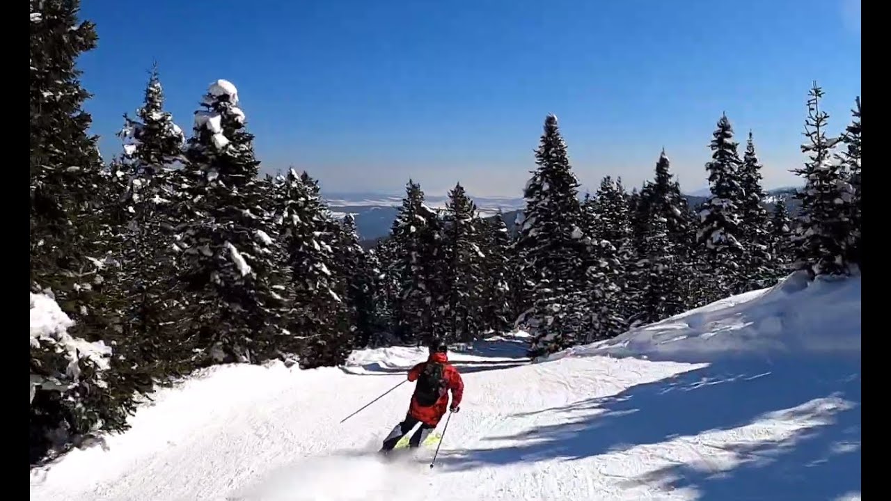 Dorukkaya Skiing - Amazing Forest View