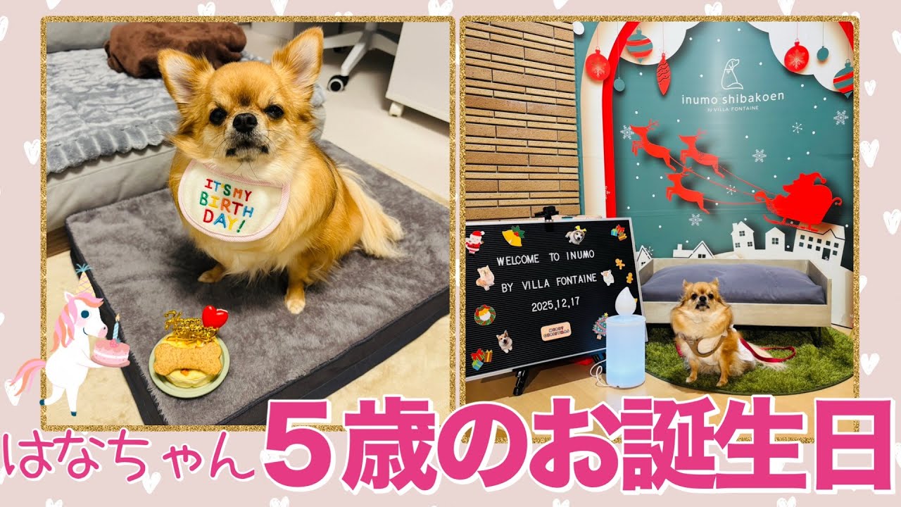 はなちゃんが５歳になりました
