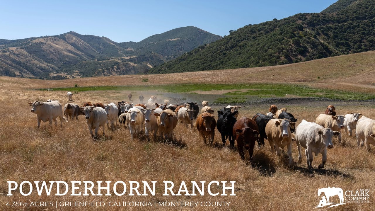 Powderhorn Ranch | 4,356+/- acres | Cattle Ranch near Greenfield, CA | Monterey County | FOR SALE