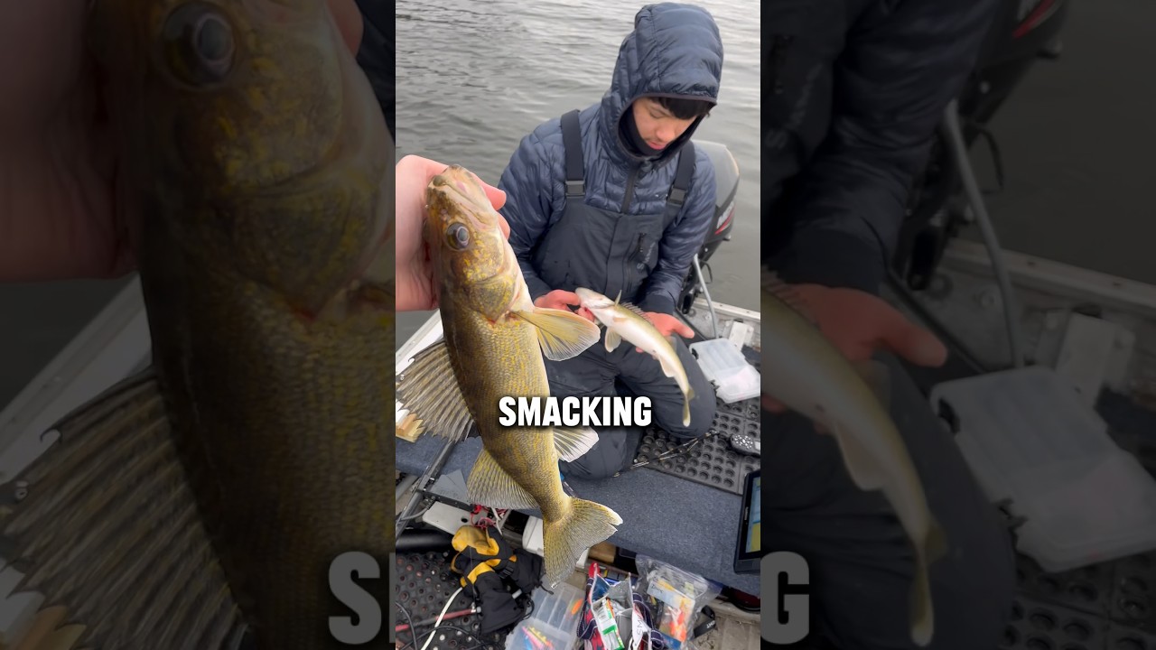 DELICIOUS Catch and Cook WALLEYE Edition!