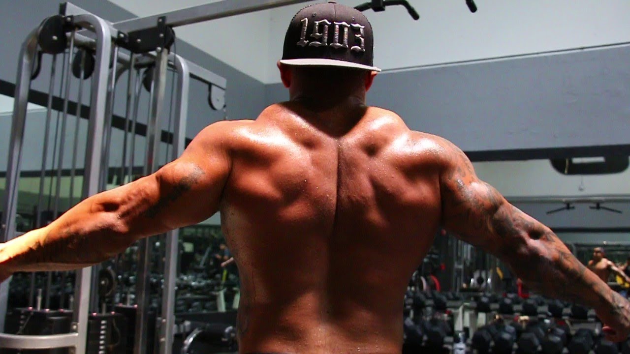 DESTROYING BACK | PITBULL TORRES | LOAD B