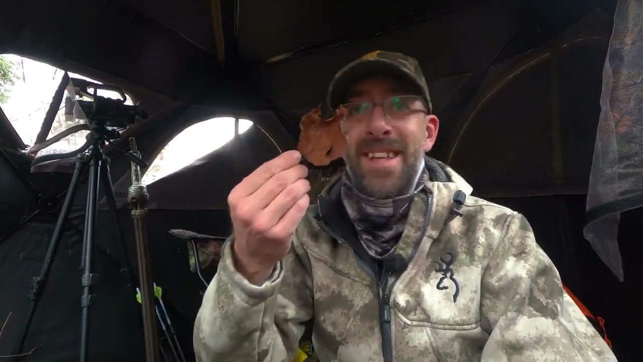 Martin Bourget Chasse au chevreuil en cache Types d'appels et feuilles mortes