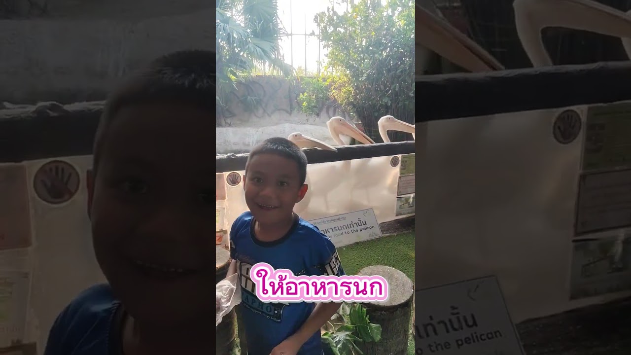 เที่ยวสวนสัตว์พัทยา